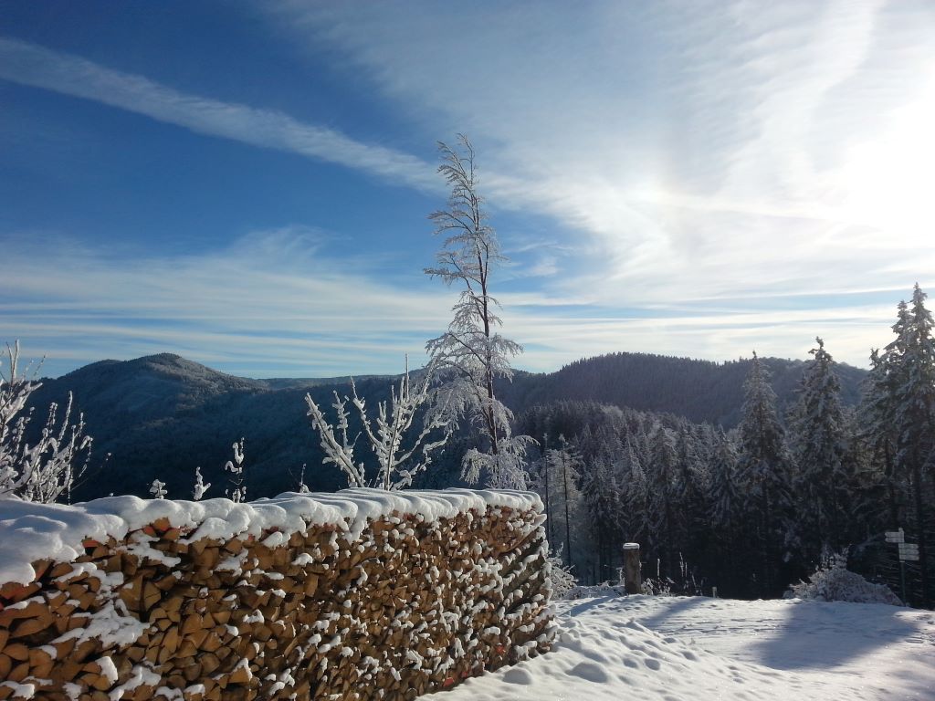 Hirschen-Weihnachten