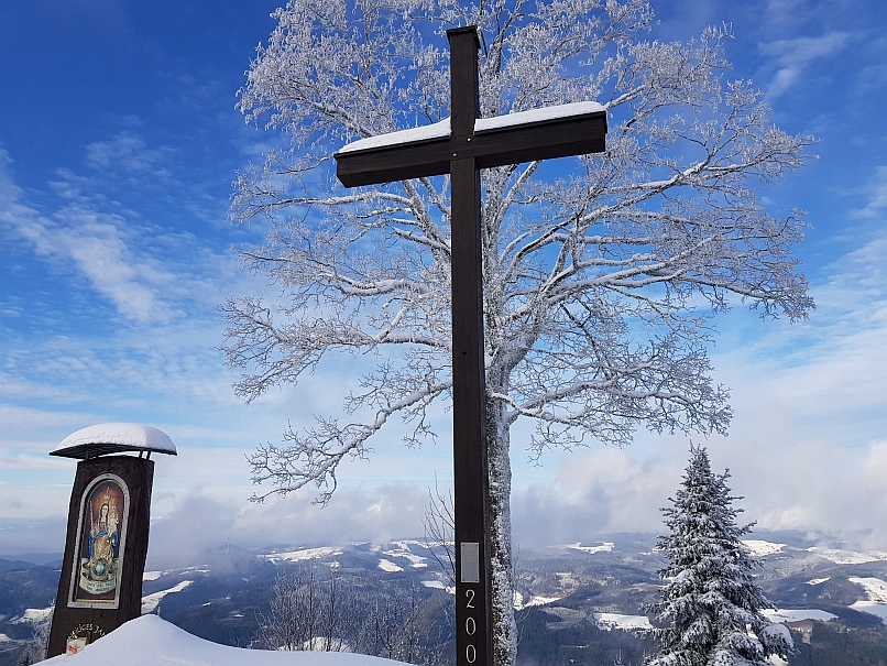 Weihnachten Hirschen 2025